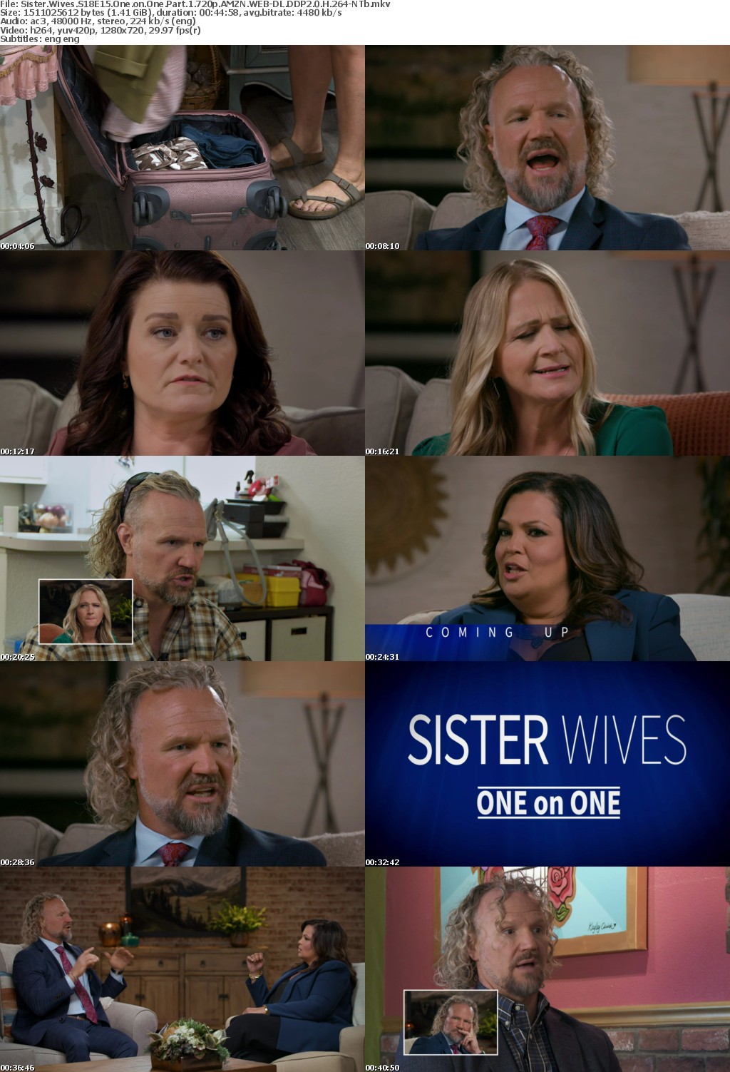 Sister Wives S18E15 One on One Part 1 720p AMZN WEB-DL DDP2 0 H 264-NTb