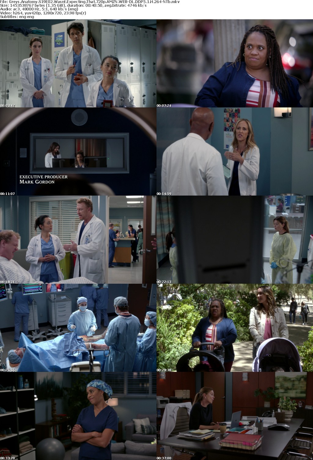 Greys Anatomy S19E02 Wasnt Expecting That 720p AMZN WEB-DL DDP5 1 H 264-NTb
