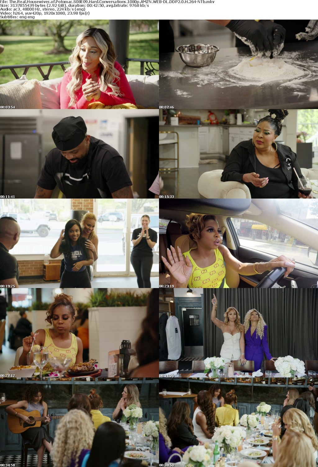 The Real Housewives of Potomac S08E09 Hard Conversations 1080p AMZN WEB-DL DDP2 0 H 264-NTb