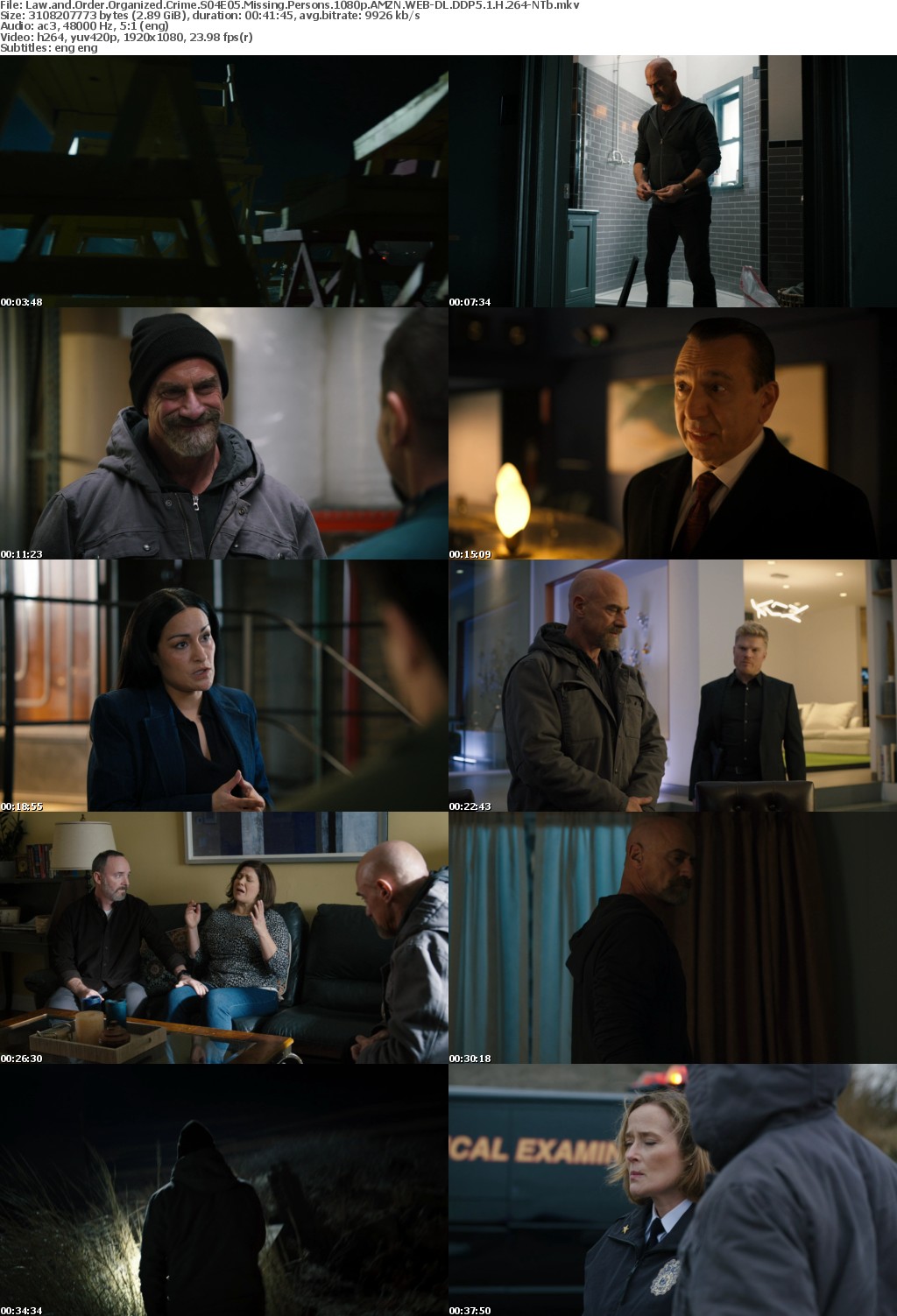 Law and Order Organized Crime S04E05 Missing Persons 1080p AMZN WEB-DL DDP5 1 H 264-NTb