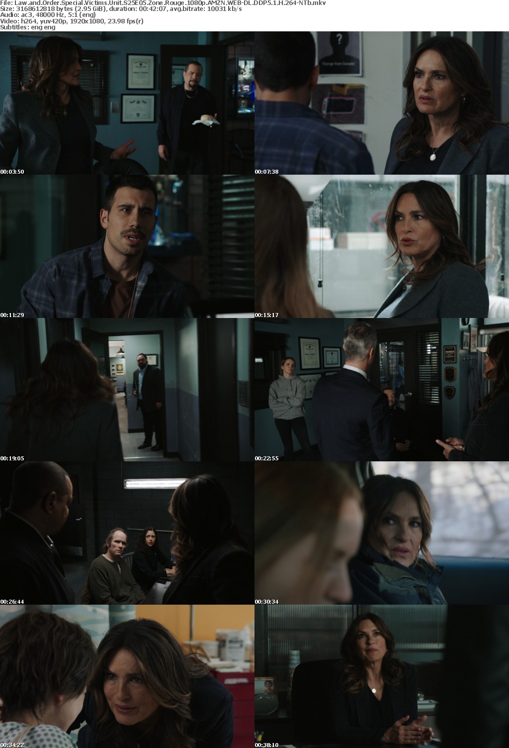 Law and Order Special Victims Unit S25E05 Zone Rouge 1080p AMZN WEB-DL DDP5 1 H 264-NTb