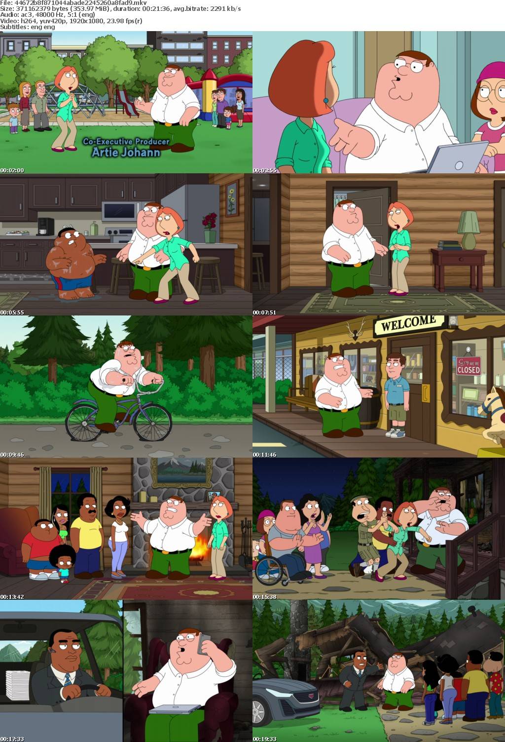 Family Guy S22E10 Cabin Pressure 1080p HULU WEB-DL DDP5 1 H 264-NTb