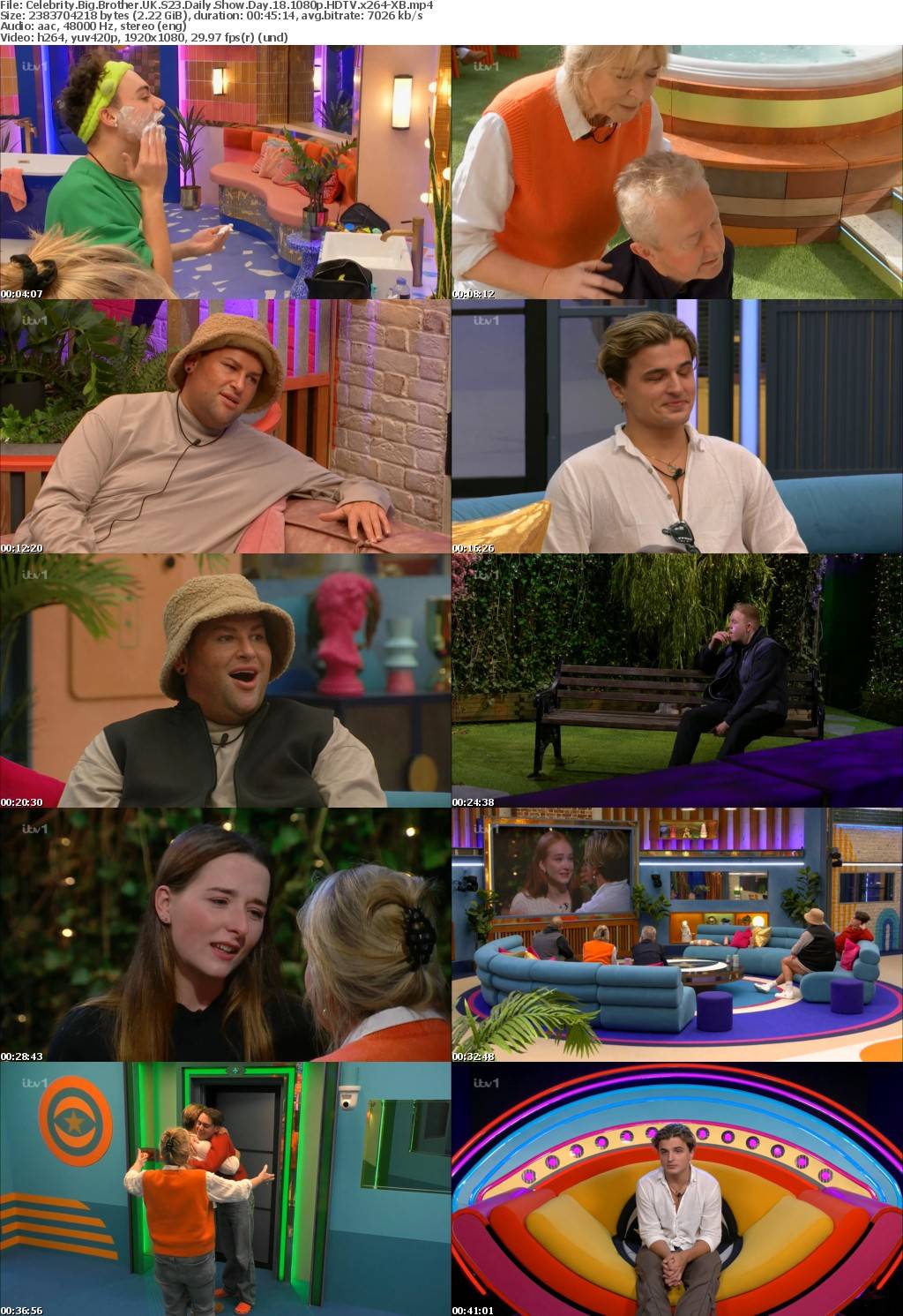 Celebrity Big Brother UK S23 Daily Show Day 18 1080p HDTV x264-XB