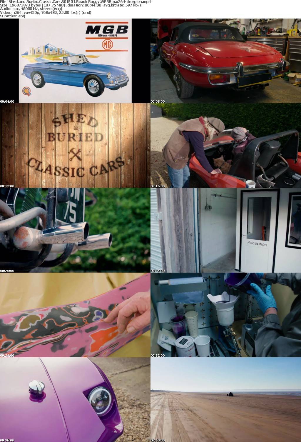 Shed and Buried Classic Cars S01E01 Beach Buggy WEBRip x264-skorpion mp4