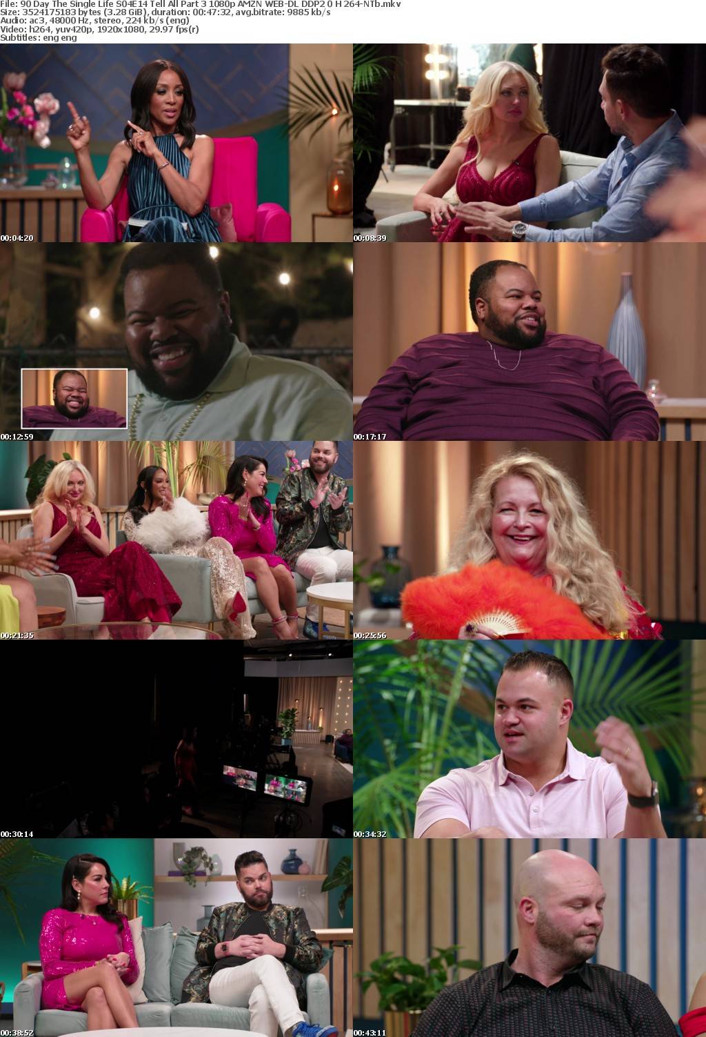 90 Day The Single Life S04E14 Tell All Part 3 1080p AMZN WEB-DL DDP2 0 H 264-NTb