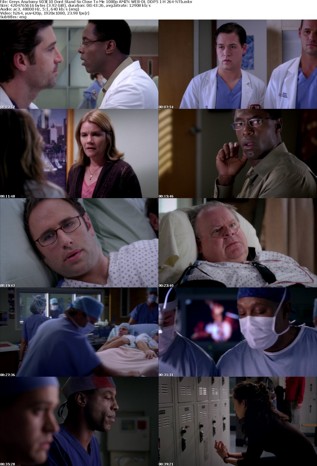 Greys Anatomy S03E10 Dont Stand So Close To Me 1080p AMZN WEB-DL DDP5 1 H 264-NTb