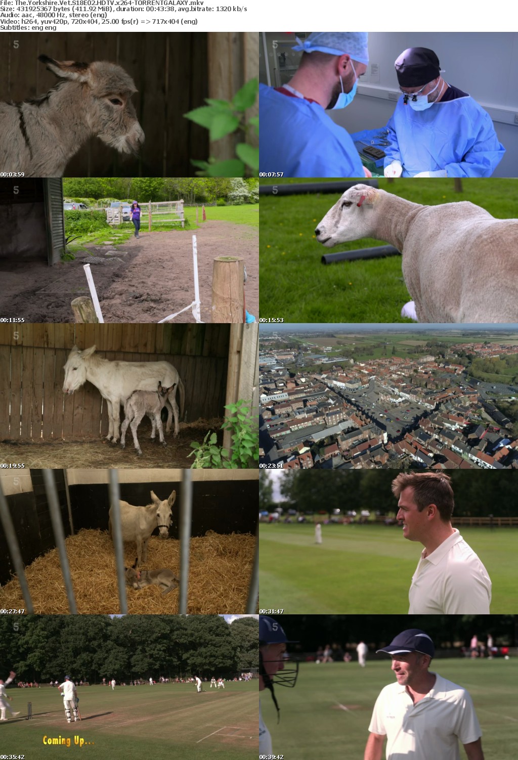 The Yorkshire Vet S18E02 HDTV x264-GALAXY