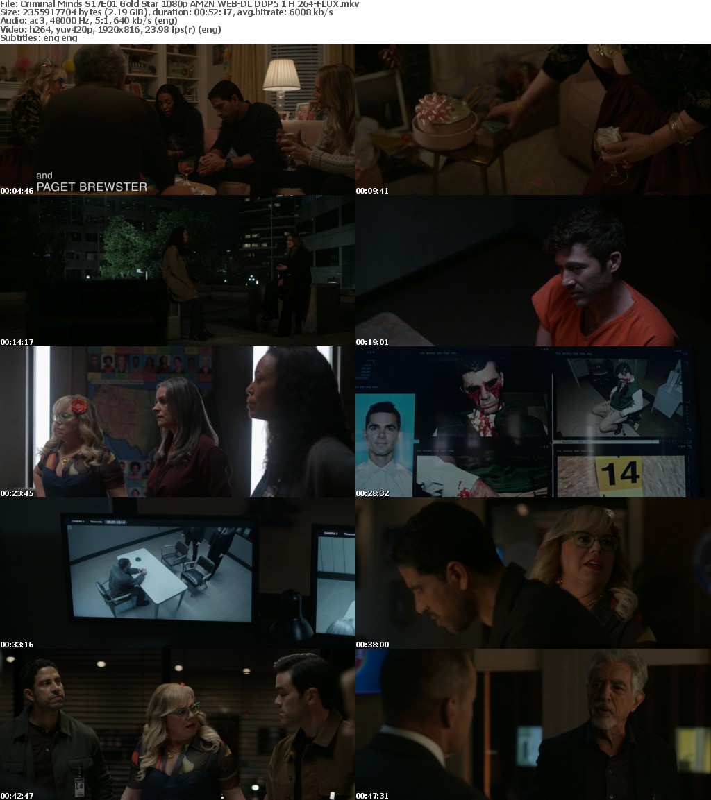 Criminal Minds S17E01 Gold Star 1080p AMZN WEB-DL DDP5 1 H 264-FLUX