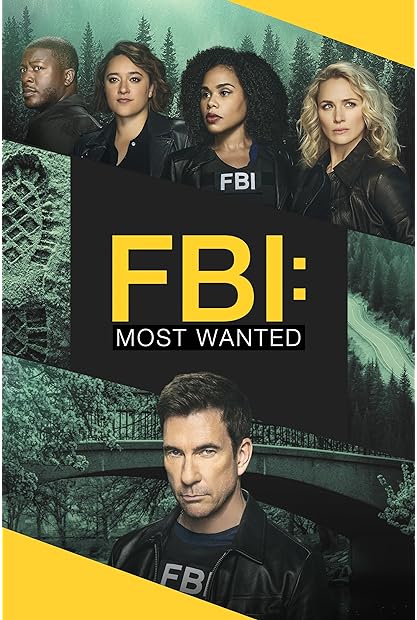 FBI Most Wanted S02E06 Dysfunction 720p AMZN WEB-DL DDP5 1 H 264-NTb
